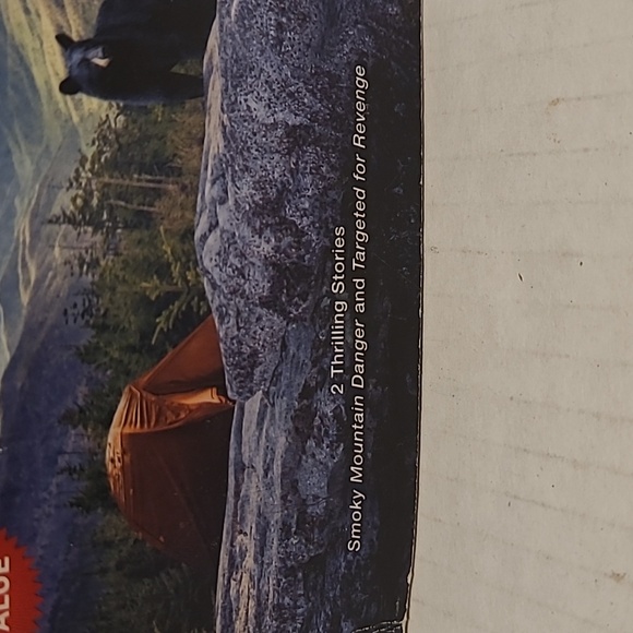 Lot of 10 Love Inspired Suspense Inspirational Romance Paperback Books - Picture 3 of 16